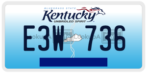 E3W736  license plate in KY