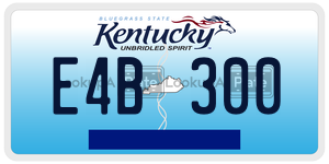 E4B300  license plate in KY