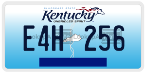 E4H256  license plate in KY