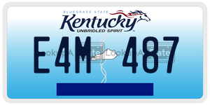 E4M487  license plate in KY