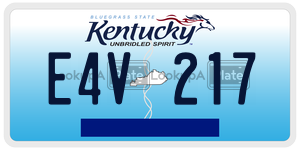 E4V217 license plate in Kentucky
