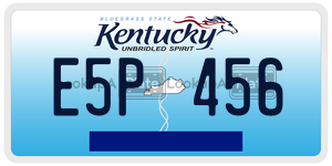 E5P456  license plate in KY