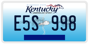 E5S998  license plate in KY