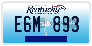 E6M893  license plate in KY