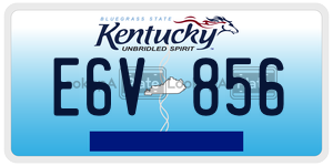 E6V856  license plate in KY