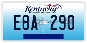 E8A290  license plate in KY
