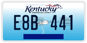 E8B441  license plate in KY