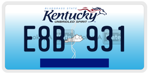 E8B931  license plate in KY