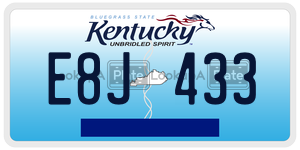 E8J433  license plate in KY