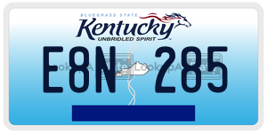 E8N285  license plate in KY