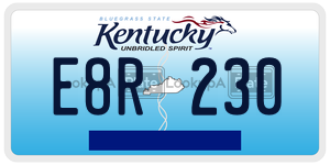 E8R230  license plate in KY