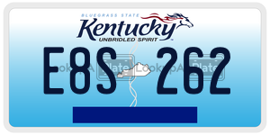 E8S262 license plate in Kentucky