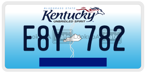 E8Y782 license plate in Kentucky