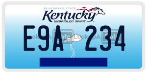 E9A234 license plate in Kentucky