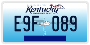 E9F089  license plate in KY
