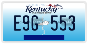 E9G553  license plate in KY
