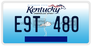 E9T480  license plate in KY