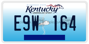 E9W164  license plate in KY