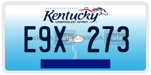 E9X273  license plate in KY
