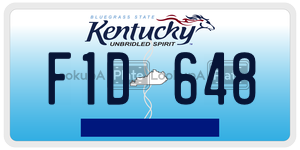 F1D648  license plate in KY