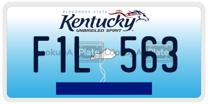 F1L563  license plate in KY