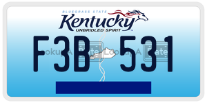 F3B531  license plate in KY