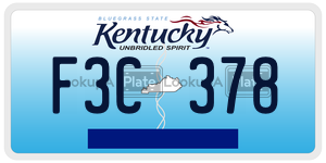 F3C378  license plate in KY