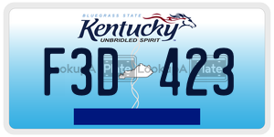 F3D423  license plate in KY