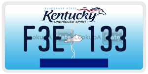 F3E133  license plate in KY