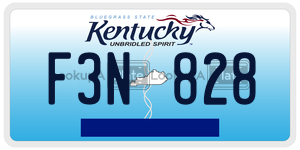 F3N828  license plate in KY