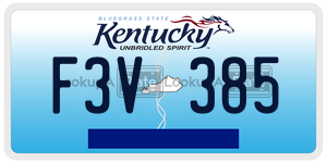 F3V385  license plate in KY