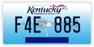 F4E885  license plate in KY