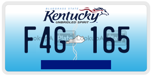F4G165  license plate in KY