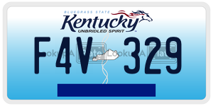 F4V329  license plate in KY