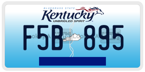 F5B895  license plate in KY