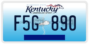 F5G890  license plate in KY