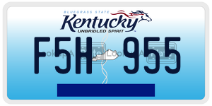 F5H955  license plate in KY