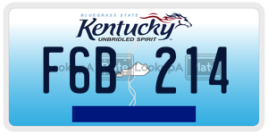 F6B214  license plate in KY
