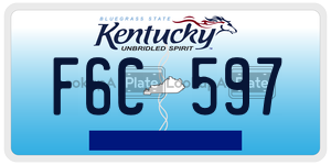 F6C597  license plate in KY
