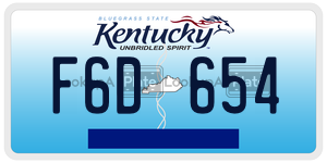 F6D654  license plate in KY