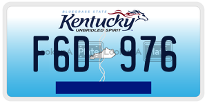 F6D976  license plate in KY