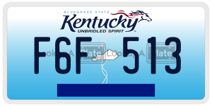 F6F513  license plate in KY