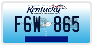 F6W865  license plate in KY