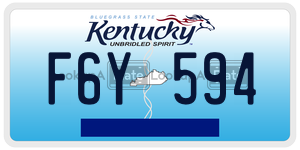 F6Y594 license plate in Kentucky