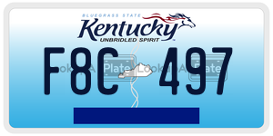 F8C497  license plate in KY