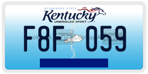 F8F059  license plate in KY