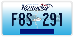 F8S291  license plate in KY