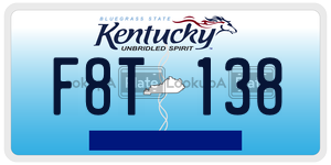 F8T138  license plate in KY