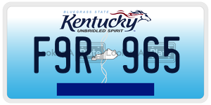 F9R965  license plate in KY