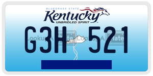 G3H521  license plate in KY